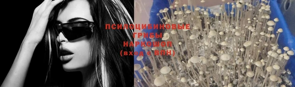 дмт Волосово