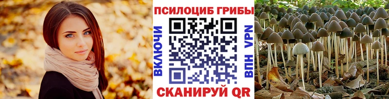 даркнет сайт  маркетплейс Telegram  Псилоцибиновые грибы Psilocybine cubensis  Грайворон 